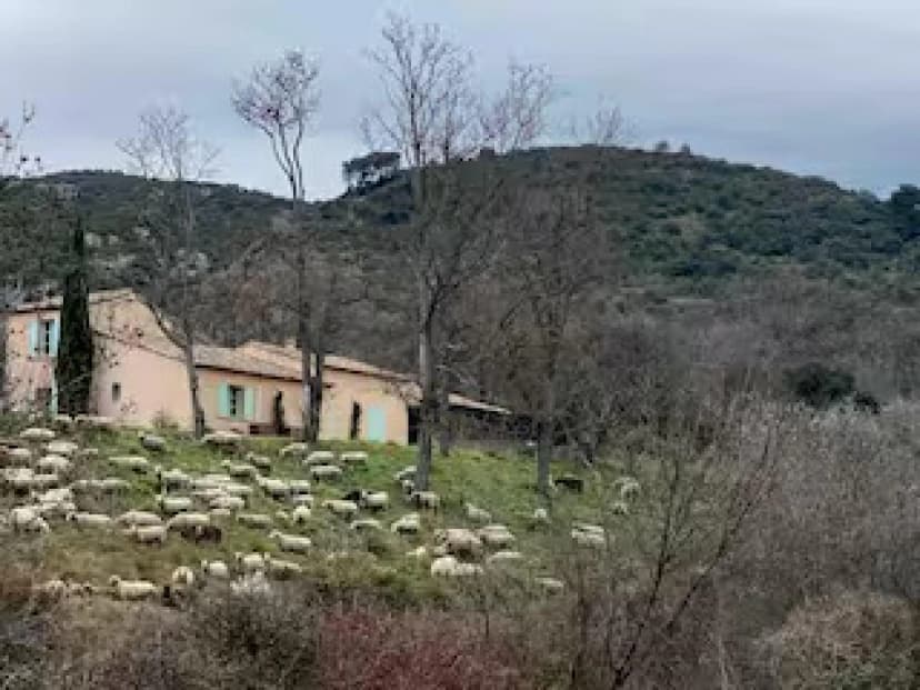 thumbnail of estate's photo